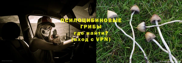 MESCALINE Алзамай