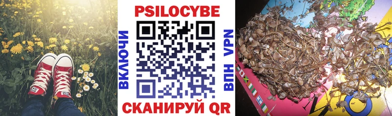 OMG рабочий сайт  Воткинск  Галлюциногенные грибы Cubensis 